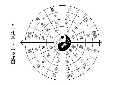 14十二地支与五行的关系 - 易理八卦针法